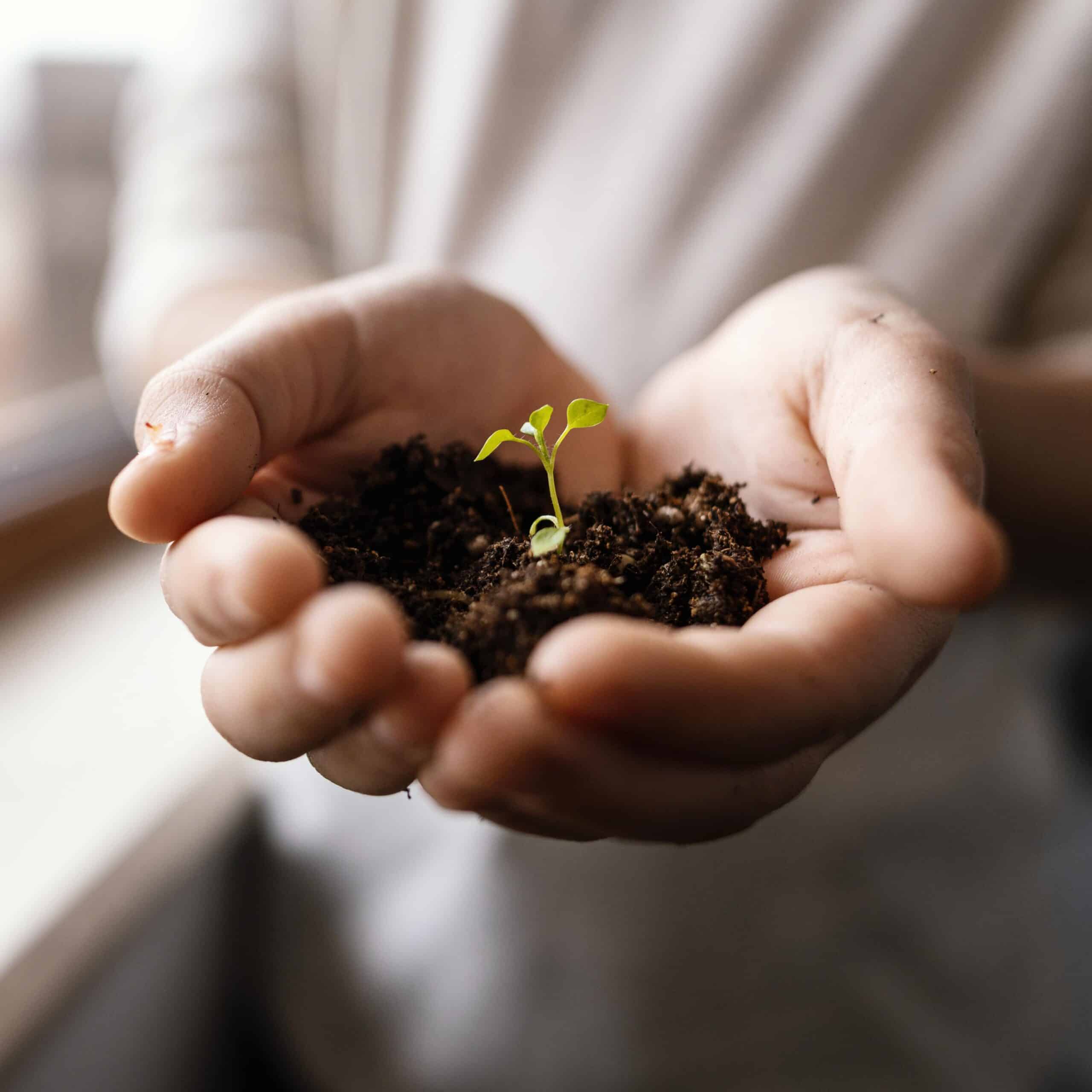 Nos filiales ont du talent – les médailles EcoVadis